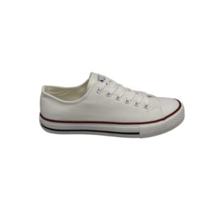 5340301 Zapato de mujer
