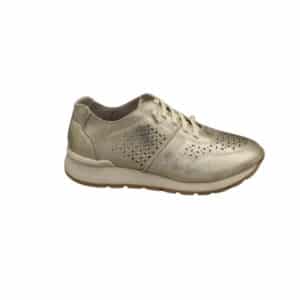 5554103 Zapato de mujer