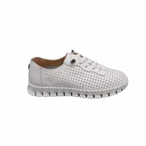 5554150 Zapato de mujer
