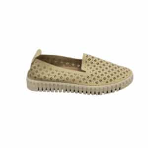 5555305 Zapato de mujer