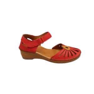 5556504 Zapato de mujer